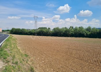1779112075.jpg - Terreno agricolo Via Cà Bassa, Albettone - foto 3