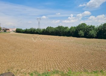 1779112078.jpg - Terreno agricolo Via Cà Bassa, Albettone - foto 5