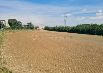 1779112080.jpg - Terreno agricolo Via Cà Bassa, Albettone - foto 6