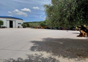 WhatsApp Image 2026-05-18 at 15.31.27 (4) - Commercial Premises Vicolo Collenocello, Tivoli - photo 11