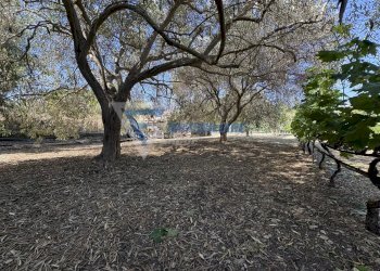 Villa VIA ISOLA, Siracusa - foto 6