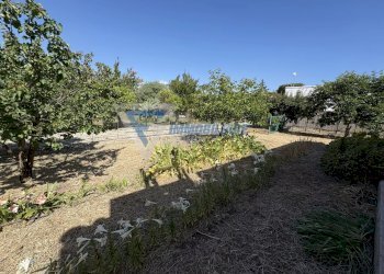 Villa VIA ISOLA, Siracusa - foto 21