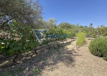 Villa VIA ISOLA, Siracusa - foto 22