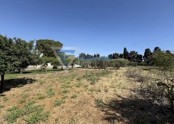 Villa VIA ISOLA, Siracusa - foto 23