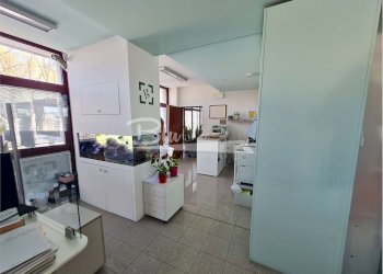 Ufficio Carpi - foto 2
