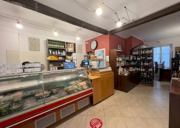 Independent house Pino Torinese - photo 24