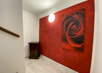 Casa indipendente Diano d'Alba - foto 13