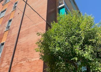 Two-room apartment via Libero Bergonzoni, Bologna (neighborhood Saffi) - photo 10