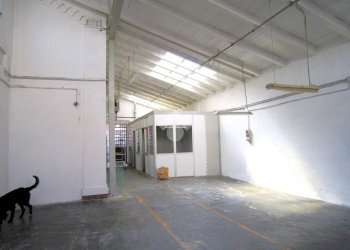 Magazzino Via Torretta, Calderara di Reno - foto 38