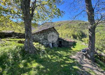 Rustico Regione Vallorsera, Lemie - foto 8