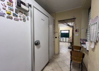 Commercial Premises Carignano - photo 5