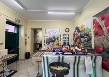Commercial Premises Carignano - photo 6