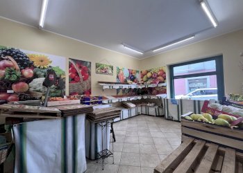 Commercial Premises Carignano - photo 8