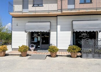 Cafeteria - Cold Bar via delle sorgenti di san martino, 45, Isernia - photo 52