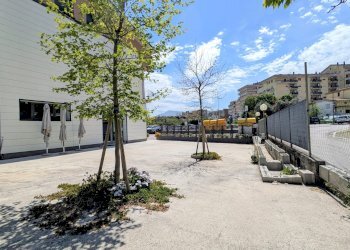 Cafeteria - Cold Bar via delle sorgenti di san martino, 45, Isernia - photo 58