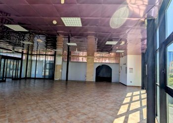 Capannone Viale Unità D'Italia, SN, Ripalimosani - foto 14
