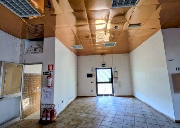 Capannone Viale Unità D'Italia, SN, Ripalimosani - foto 22