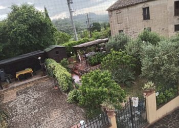 Foto 16 - Rustico Montespertoli - foto 16