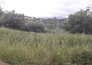 Foto 7 - Agricultural land Via delle More, Casalincontrada - photo 7
