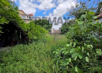Giardino - Casa indipendente Corso Europa
 
52, Casavatore - foto 4