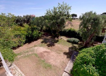 Giardino - Villa Strada Comunale Cristallina
 
14, Mola di Bari - photo 21