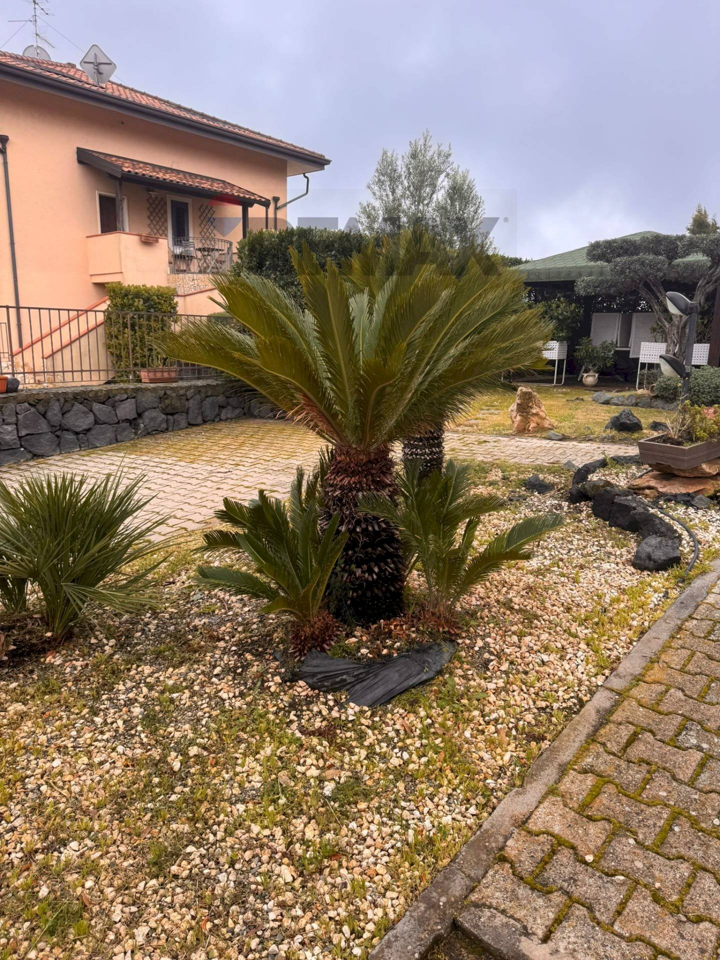 Giardino - Semi-detached house Via Pescara
7, Mascalucia - photo 3