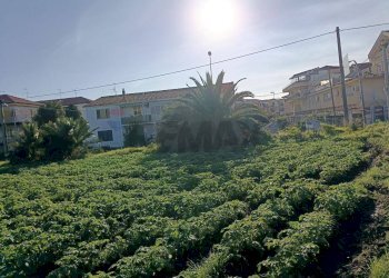 Edificio all\'aperto - Terreno edificabile strada 28 Mario Carbonaro
sn, Riposto - foto 3