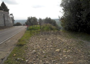 Giardino - Terreno edificabile contrada salinella
 
SNC, Motta Sant'Anastasia - foto 4