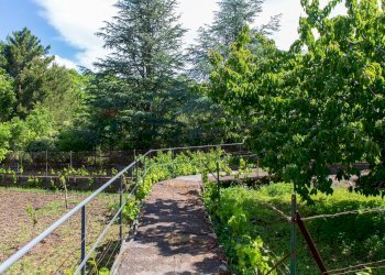 Giardino - Villa Contrada Calcerana Marina Piazza Aretusa
 
snc, Biancavilla - photo 62