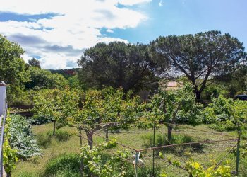 Giardino - Villa Contrada Calcerana Marina Piazza Aretusa
 
snc, Biancavilla - photo 69