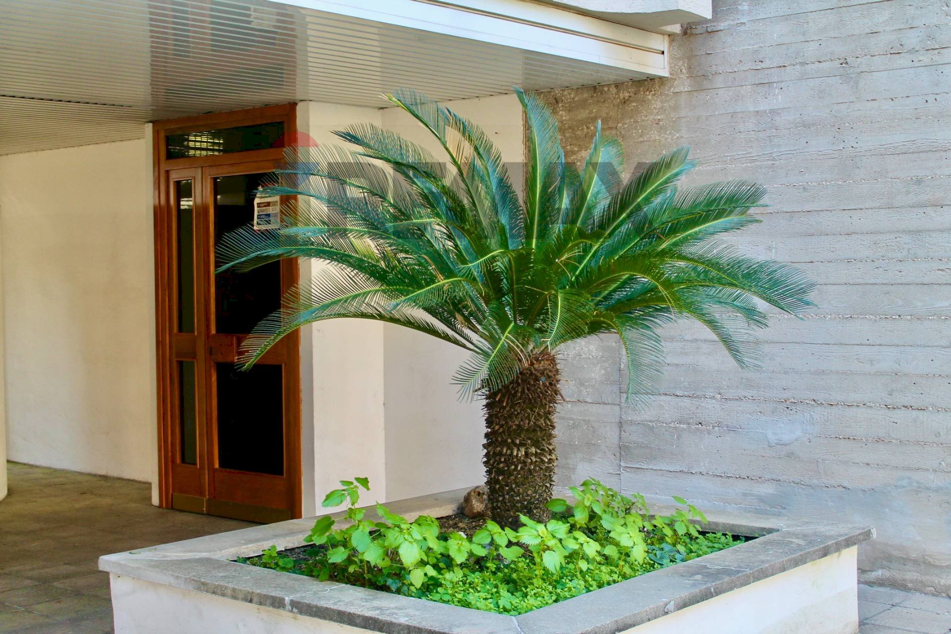 Dettagli - Apartment Via Giuseppe Antonio Pasquale
11, Roma - photo 3