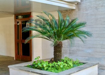 Dettagli - Apartment Via Giuseppe Antonio Pasquale
11, Roma - photo 3