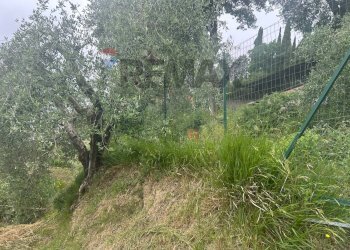 Giardino - Terreno edificabile Strada Montevile
42, Perugia - foto 6