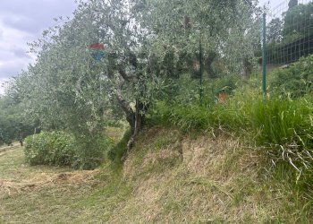 Giardino - Terreno edificabile Strada Montevile
42, Perugia - foto 4