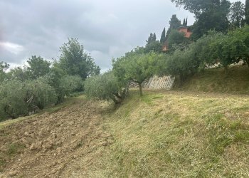 Giardino - Terreno edificabile Strada Montevile
42, Perugia - foto 16