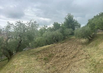 Giardino - Terreno edificabile Strada Montevile
42, Perugia - foto 17