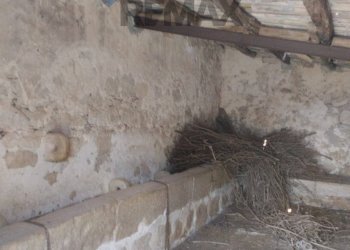 Stanza vuota - Rustic C.da Cannizzara
 
s.n., Modica - photo 2