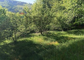 Giardino - Rustico Località Fobè, Bormida - foto 39