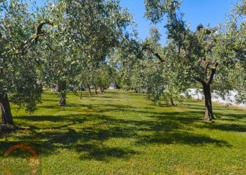 Foto 47 - Villa via Pontina km 80, Latina - photo 47