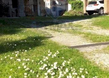 Giardino - Rustico Osnago - foto 5