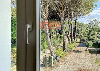 Foto 3 - Villa Treviso - foto 3