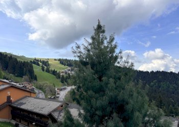 Foto 7 - Appartamento Via alle Baite
 
15, Castione della Presolana - foto 7