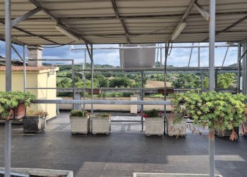 Foto 1 - Three-room apartment via Marzabotto
14, Terni - photo 1
