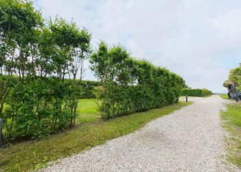 Terreno - Trilocale strada dei Tetti Bertoglio, 92, Torino - foto 26