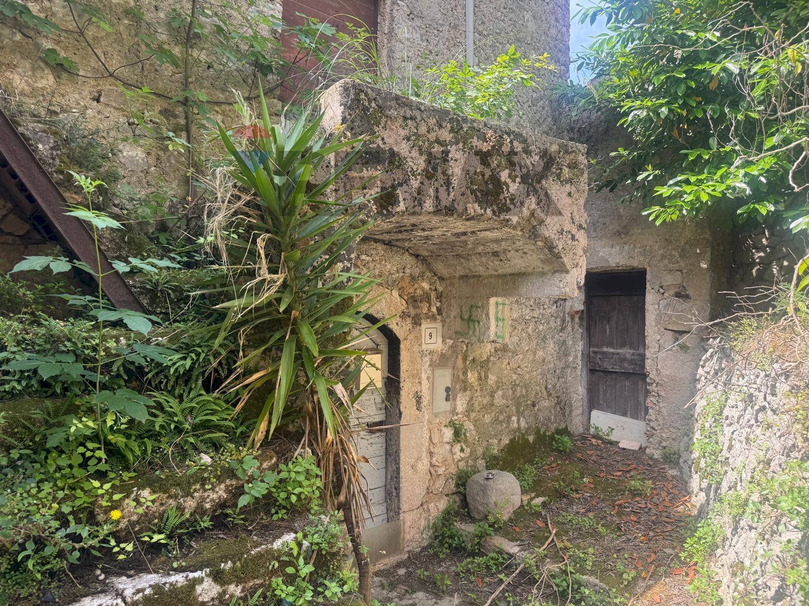 Giardino - Rustico Roccasecca - foto 1