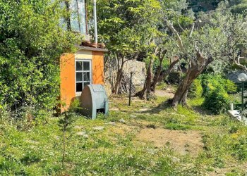 Giardino - Three-room apartment Pieve Ligure - photo 8