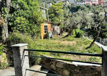 Giardino - Three-room apartment Pieve Ligure - photo 10