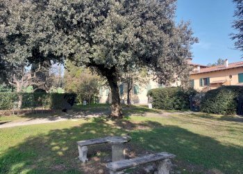 giardino condominiale - One-room apartment via Porrettana, Sasso Marconi - photo 24