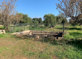 WhatsApp Image 2021-10-28 at 11.08.15.jpeg - Building land Monopoli - photo 9