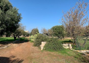 WhatsApp Image 2021-10-28 at 11.08.16.jpeg - Building land Monopoli - photo 11
